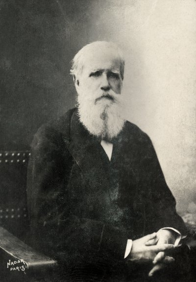 Portrait of Dom Pedro, Emperor of Brazil by Paul Nadar