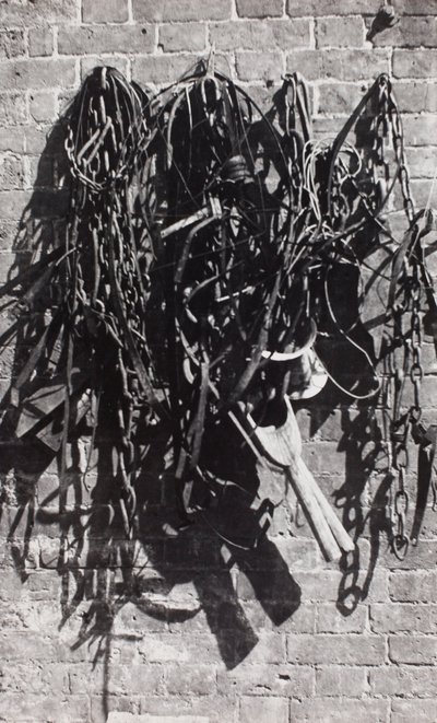 Chain and Net, John Nash
