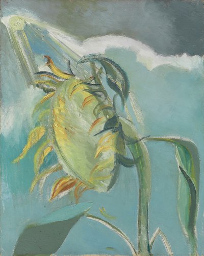 Sunflower and Sun, c.1945 by Paul Nash