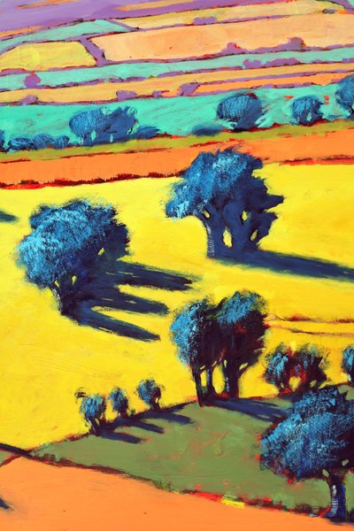 Cotswold Way close up 2 by Paul Powis