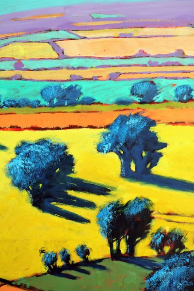 Cotswold Way Close Up 8 by Paul Powis