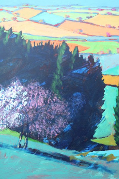 Teme Valley Blossom (close up 1) by Paul Powis