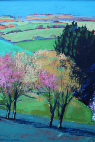 Teme Valley Blossom Close Up 2 by Paul Powis