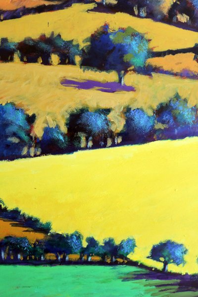Whiteleaved Oak Close Up 3 by Paul Powis