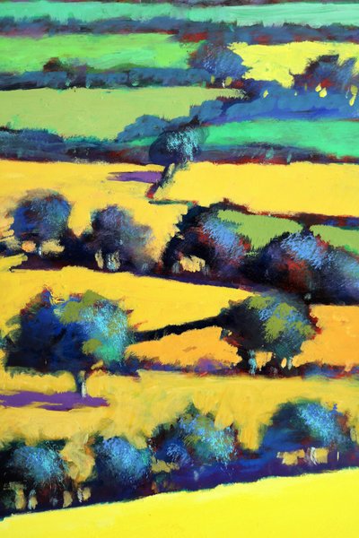 Whiteleaved Oak Close Up 6 by Paul Powis