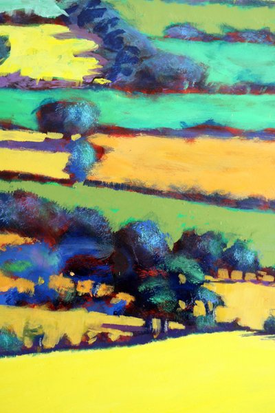 Whiteleaved Oak Close Up 7 by Paul Powis