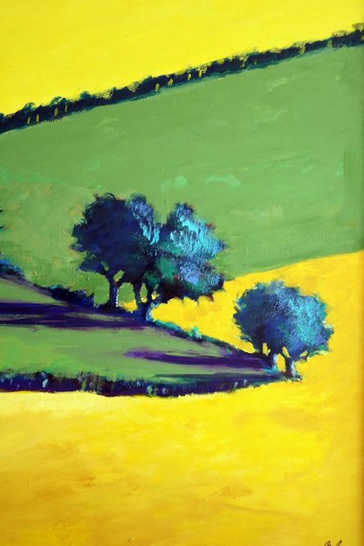 Whiteleaved oak close up 9 by Paul Powis