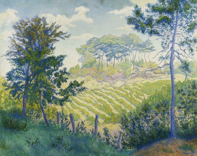 Vineyards Under the Pines by Paul Elie Ranson
