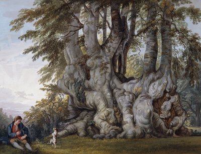 A Boy Making a Dog Dance by the Bole of an Ancient Gnarled Beech Tree by Paul Sandby
