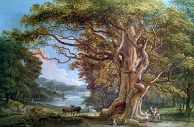 An Ancient Beech Tree, 1794 by Paul Sandby