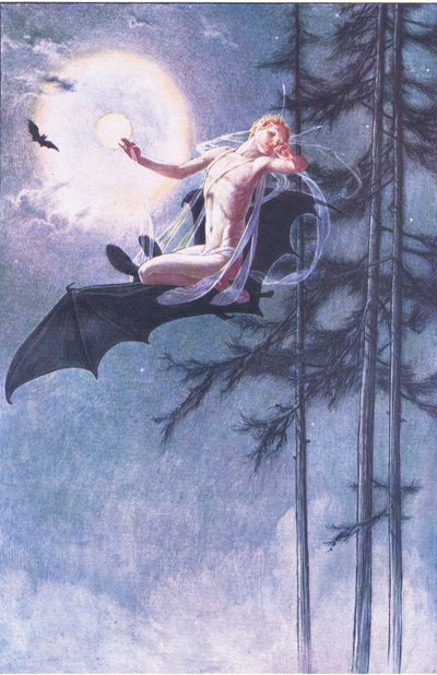 On the Bat
