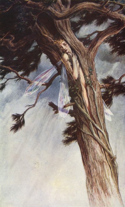 The Tempest by William Shakespeare, Act I, Scene 2 by Paul Vincent Woodroffe
