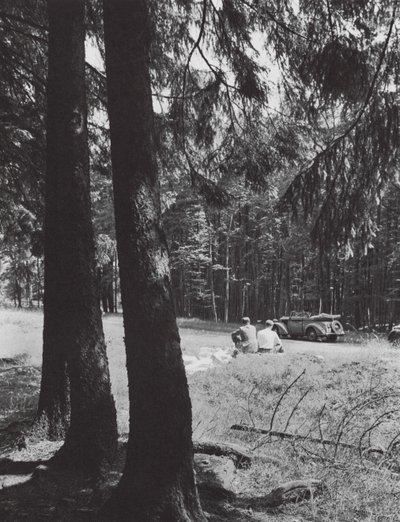 A Rest in a Forest, Bavaria by Paul Wolff