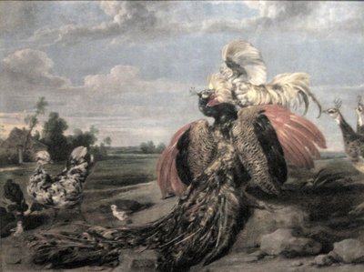 Peacock and Cock Fighting by Paul De Vos