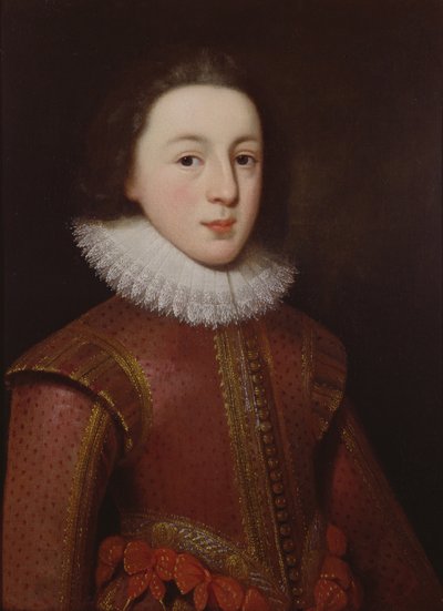 Portrait of Henry, Prince of Wales by Paul van Somer