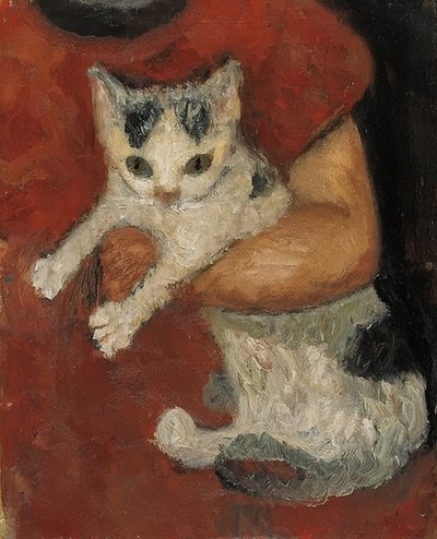 Cat in a Child