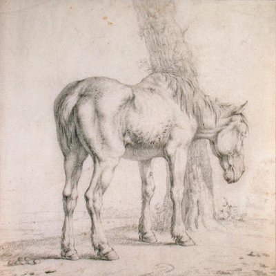 An Old Horse by Paulus (attr.to) Potter