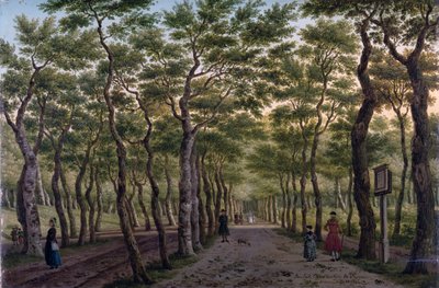 The Herepad in the Haagse Bos by Paulus Constantin La Fargue
