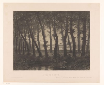 Forest Landscape with Flying Birds by Paulus Lauters