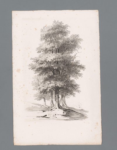 Group with Five Trees by Paulus Lauters