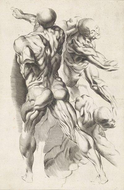 Anatomical Study of Three Figures with Outstretched Arms by Paulus Pontius