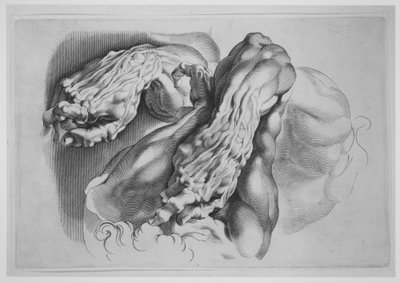 Three Studies of Écorchés, after 1640 by Paulus Pontius
