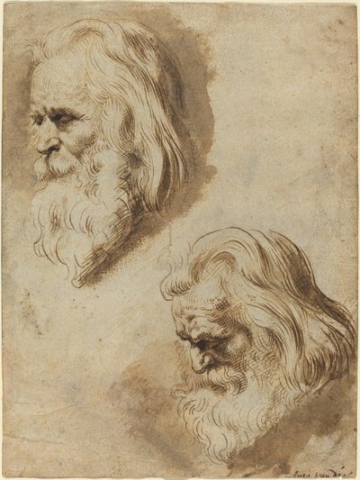 Two Studies of an Elderly Man