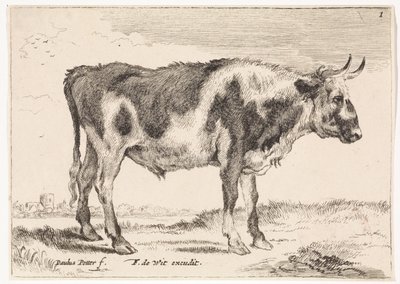 Spotted Ox (series title: Oxen and Cows) by Paulus Potter (rejected attribution)