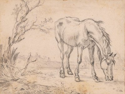 A Grazing Horse by Paulus Potter