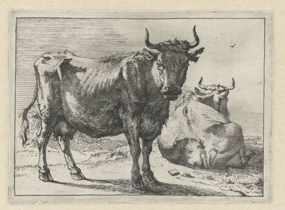 A Standing and a Lying Cow by Paulus Potter