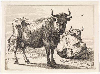 A Standing and a Lying Cow (The Bull Booklet) by Paulus Potter