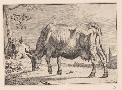 The Grazing Cow, from Various Oxen and Cows by Paulus Potter