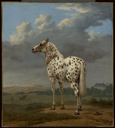 The "Piebald" Horse, c.1650-1654 by Paulus Potter