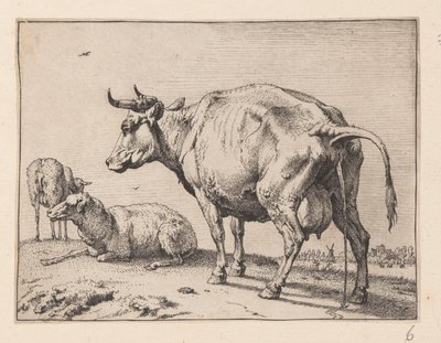 The Pissing Cow, from Various Oxen and Cows by Paulus Potter