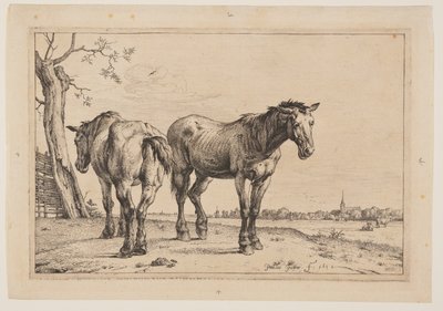 The Plough Horse, from Series of Horses by Paulus Potter