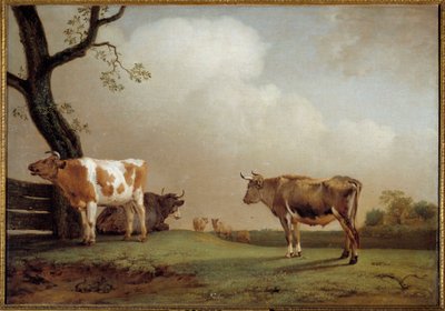 The Meadow by Paulus Potter