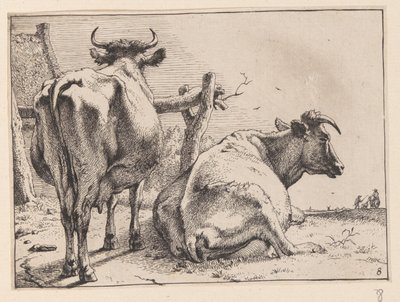 Two Cows Seen from Behind, from Various Oxen and Cows by Paulus Potter