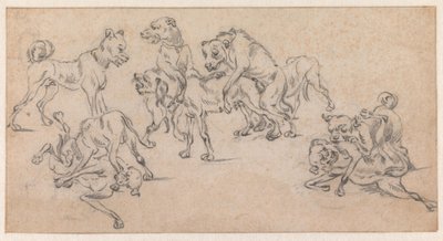 Fighting and Mating Dogs by Paulus Potter