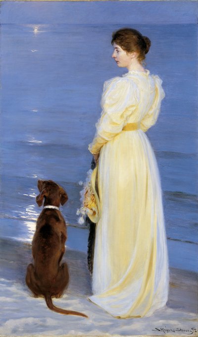 Summer Evening at Skagen. The Artist