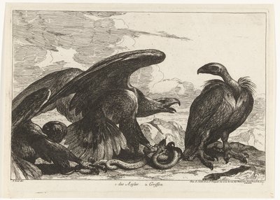 Vulture and an Eagle with a Snake (Birds from the Menagerie of Versailles) by Peeter Boel (attributed to)