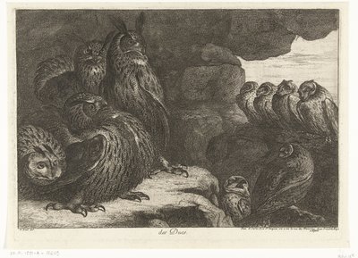 Owls in a Cave by Peeter Boel (attributed to)