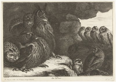 Owls in a Cave by Peeter Boel (attributed to)