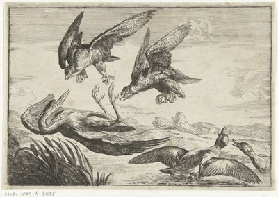 Two Falcons Attacking a Heron by Peeter Boel