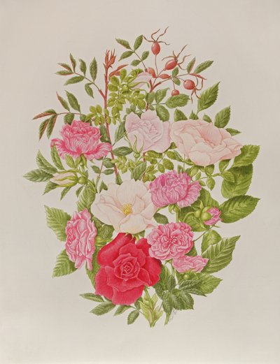 Various Pink Roses by Peggy Wyatt