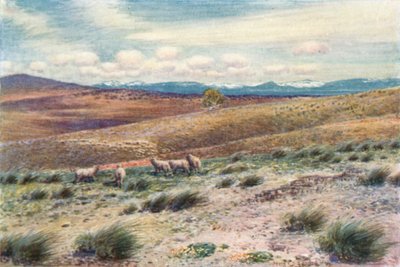 Snowy Mountains near the site of the Federal Capital by Percy F.S. (after) Spence