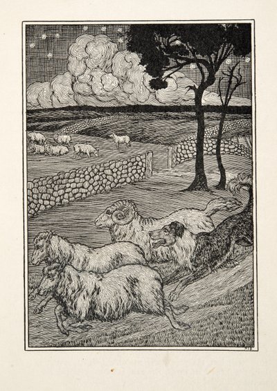 A Canine Sheep Stealer by Percy J. Billingshurst