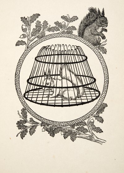 A Refugee Squirrel, from A Hundred Anecdotes of Animals, pub. 1924 by Percy J. Billingshurst