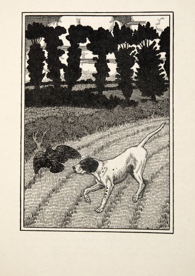 Deceiving the Fowler, from A Hundred Anecdotes of Animals, pub. 1924 by Percy J. Billingshurst