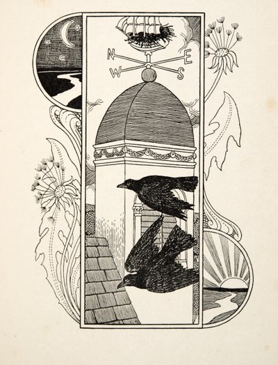 Strange Rooks by Percy J. Billingshurst