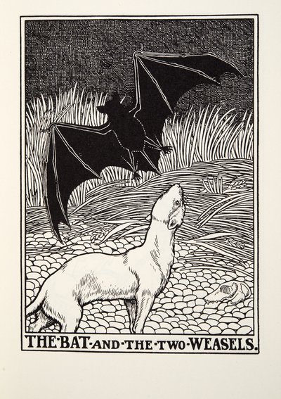 The Bat and the Two Weasels, from Fontaine Fables by Percy J. Billingshurst